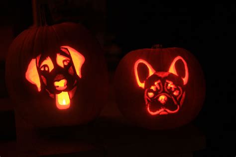 Halloween Dog Pumpkin Carving Patterns at JENENGE blog