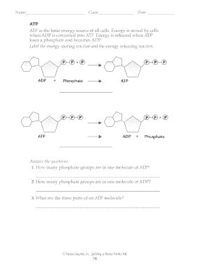 Fillable Online ATP ATP is the basic energy source of all cells ...