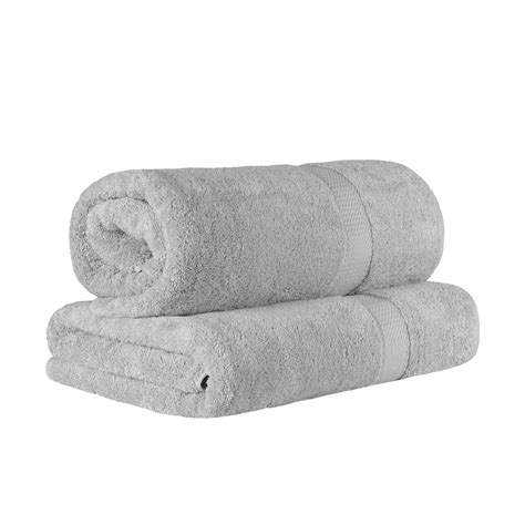 Birch Lane™ Renata 2 Piece 800 GSM Certified Egyptian Cotton Bath Sheet ...