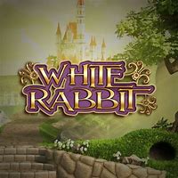 Image result for Scruffy White Rabbit