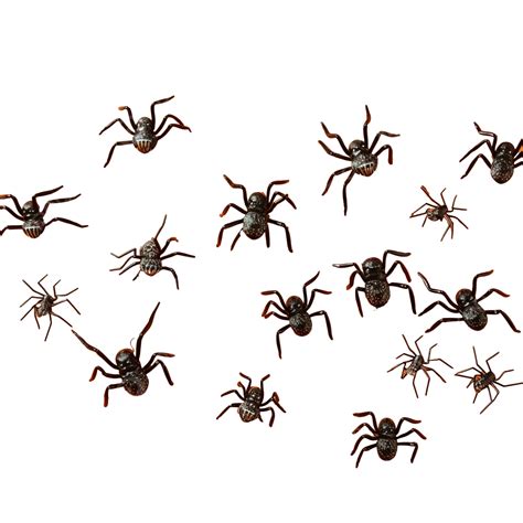 Halloween Decorations Different Spiders On Orange Surface, Spider ...