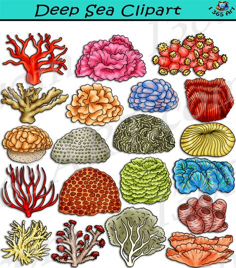 Coral Clip Art