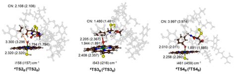 Mechanism of the Oxidative Ring-Closure Reaction during Gliotoxin ...