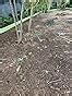 Sharpex Telescopic Metal Rake, Adjustable Rake for Quick Clean Up of ...