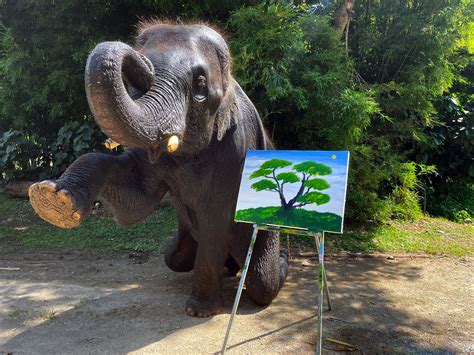 Elephant Painting A Picture