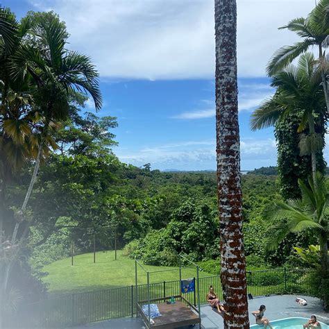 JACKAROO TREEHOUSE RAINFOREST RETREAT (Bingil Bay) - Hostel Reviews ...