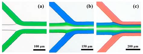Effect of Flow Velocity on Laminar Flow in Microfluidic Chips