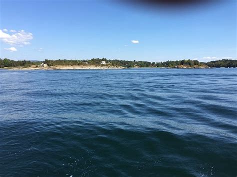 Sandvika Fjord Day Tours M/S Rigmor & M/S Rigfar - 2022 What to Know ...