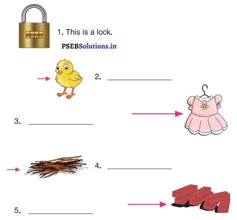 Class 3 Lesson 2 English PSEB 的图像结果
