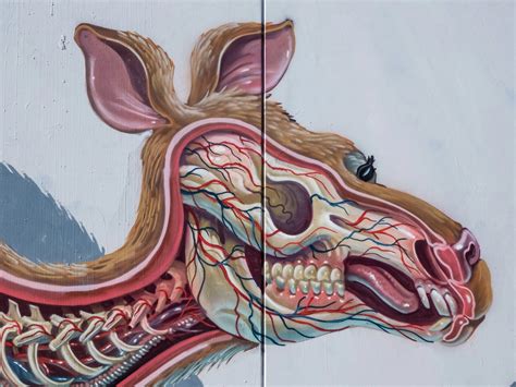 Image result for Panasonic DC Fz80 Camera Tutorial