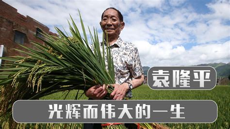 杂交水稻之父袁隆平的成就，华人当为祖国奉献一生_哔哩哔哩_bilibili