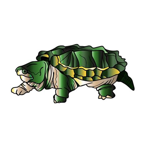 Image result for Alligator Snapping Turtle Cartoon