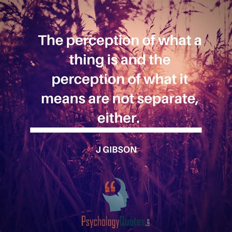 Perception Explained 的图像结果