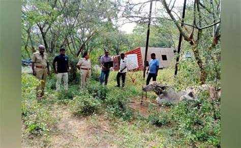 Chamarajnagar: Man from Mysuru held for illegal transport of cattle to ...