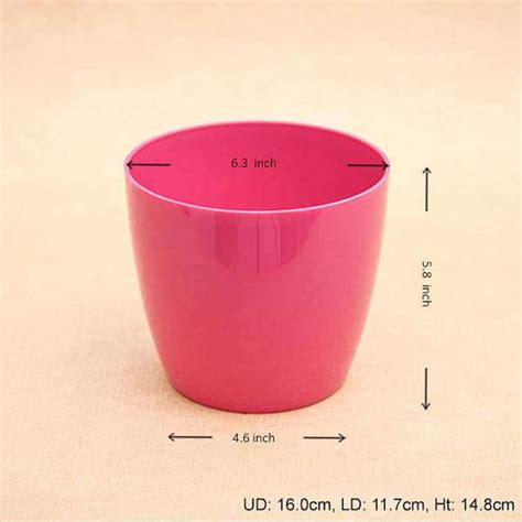 Buy Pink Color Planters online from Nurserylive at lowest price.