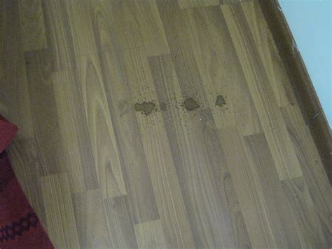 SAKURA INN (Bagan) - Specialty Inn Reviews & Photos - Tripadvisor