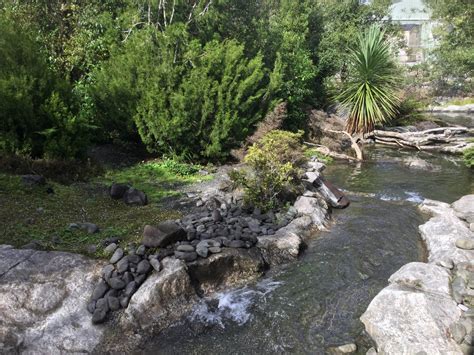 New Zealand Native Precinct - The High Country - ZooChat