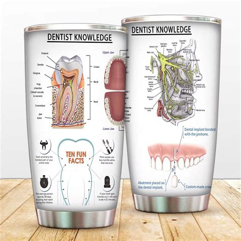 Buy Facial Nerves Dental Anatomy Dental Hygiene Tumbler Anatomy Coffee ...