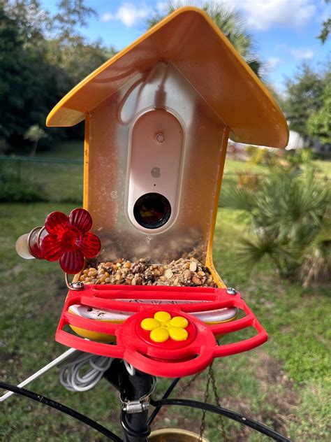 Perch With Built in Hummingbird Feeder Compatible With Bird Buddy - Etsy