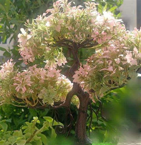 Image result for Decision Tree Algorithm