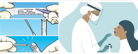 Image result for Viral Infection Sample Collection