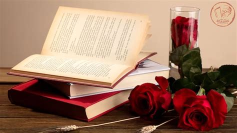 Image result for Romance Examples