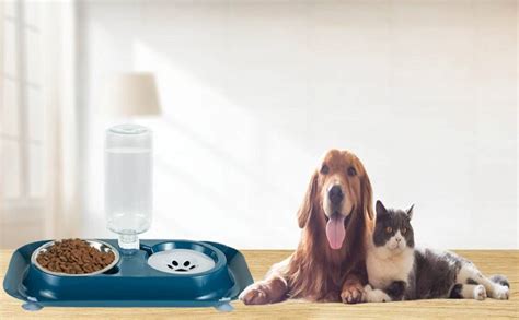 CREDLY Double Dog Cat Bowls Water and Food Bowl Set with Detachable ...