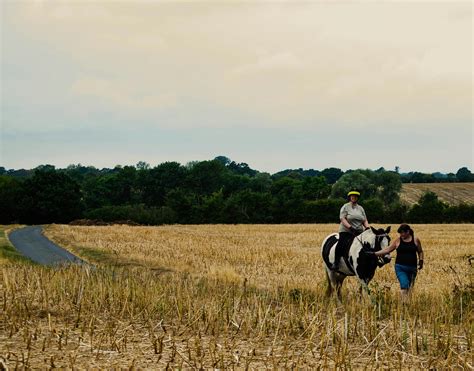 People Walking Horse through Field · Free Stock Photo
