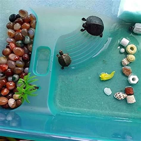Turtle Tank Aquarium, Turtle Habitat Reptile Plastic Terrarium Safe ...
