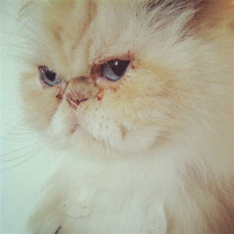 Anyone have a peloton referral code? Please and thank you! | Glassdoor