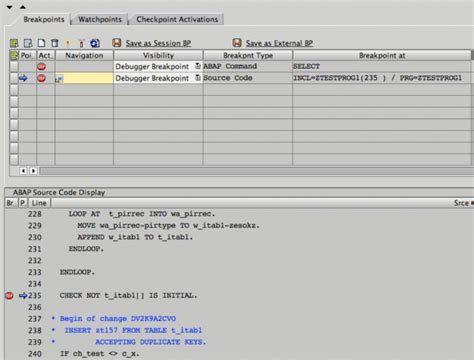 Image result for Basic Debugging SAP Program