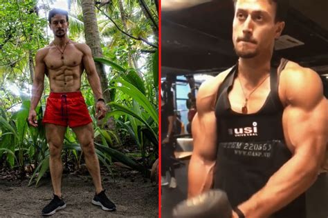 Tiger shroff become indian rambo give- mash to hrithik roshan know ...