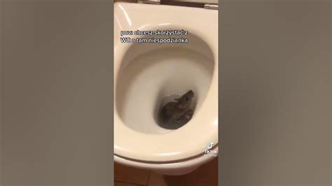 Image result for Modeling Paste Craft Ideas