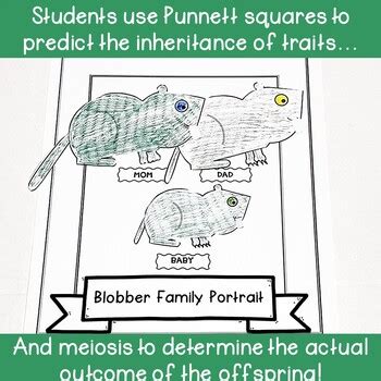 Image result for Genetics Project Kit