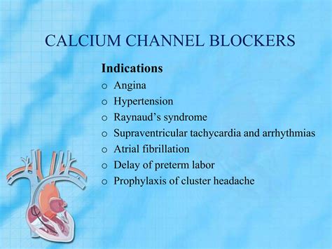 Calcium antagonists.pptx 1 | PPTX