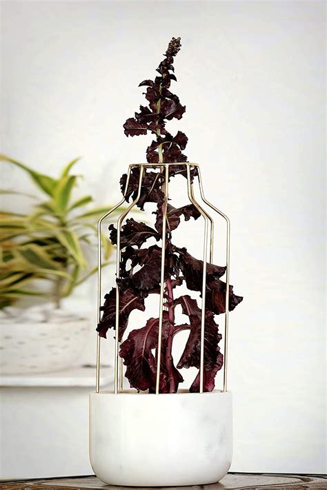 POSH N PLUSH White Marble Base with Gold Metal Mesh Planter Pots for ...