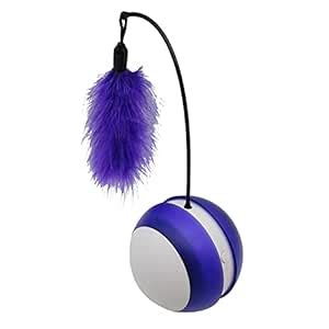 Enakshi (LABEL) Creations Cat Ball Self Rotating LED Light Feather Toys ...