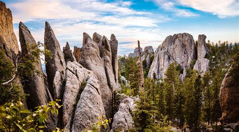 CUSTER STATE PARK (2025) All You Need to Know BEFORE You Go (with ...