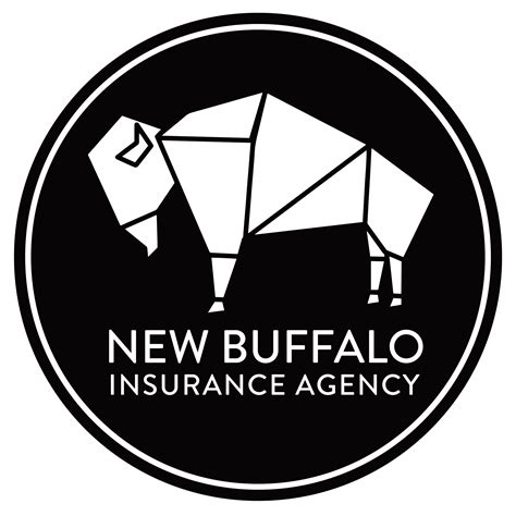 Image result for Auto Insurance Buffalo