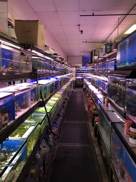 Les magasins d'aquariums dans le nord de la Virginie