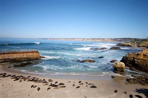 The 8 Best California Tide Pools for Families to Explore