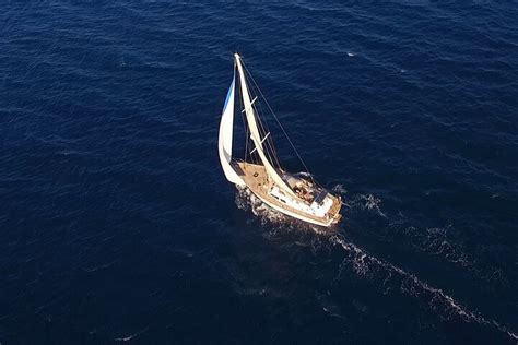 MONKEY SAILING (2026) All You Need to Know BEFORE You Go (with Photos ...