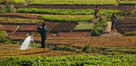 Image result for Farming Simulator 19 Mods.com