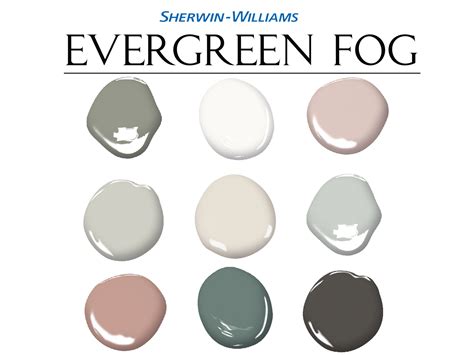 Evergreen Fog Color Palette | Coloring Pages