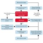Image result for Pediatric Pals Algorithm Cards
