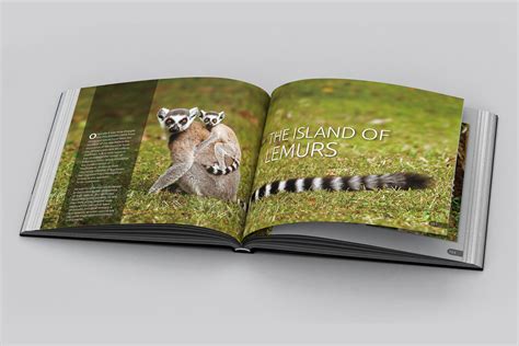 Madagascar Book 的图像结果