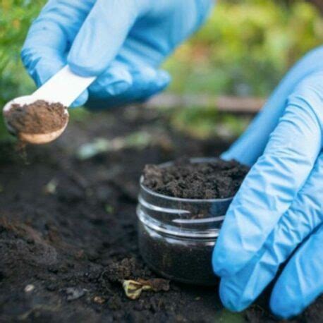 Soil Science 的图像结果