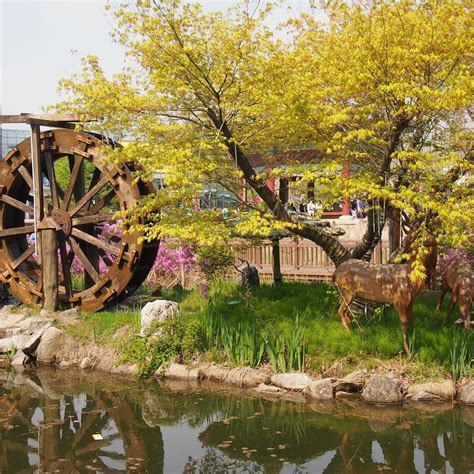 SEOUL CHILDREN'S GRAND PARK (2026) All You Need to Know BEFORE You Go ...