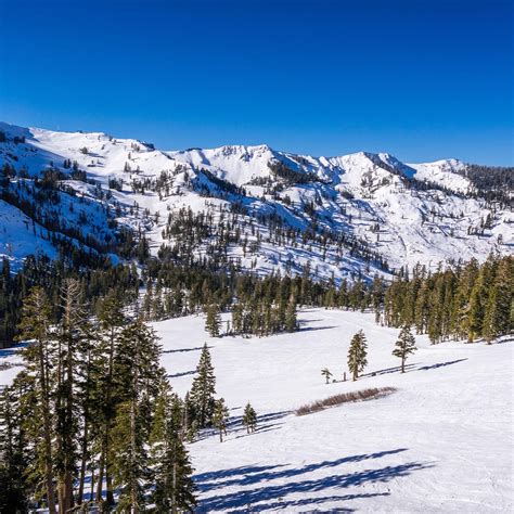 #403 Thrive & Survive — My Favorite Murder