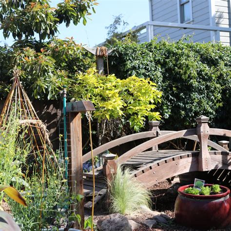 Berkeley – Duck's Nest Preschool